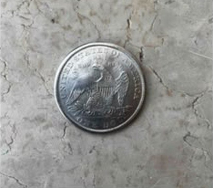Seated Liberty Silver Dollar (Eagle Reverse)